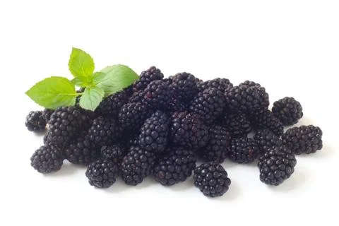 Blackberries Stock Photos