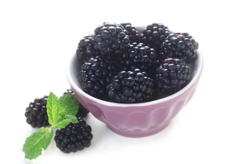 Blackberries Stock Photos