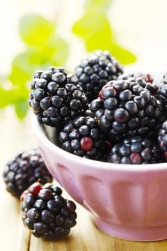 Blackberries Stock Photos