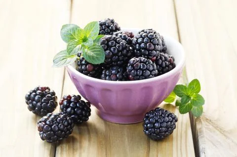 Blackberries Stock Photos