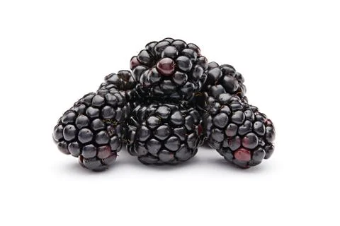 Blackberries Stock Photos