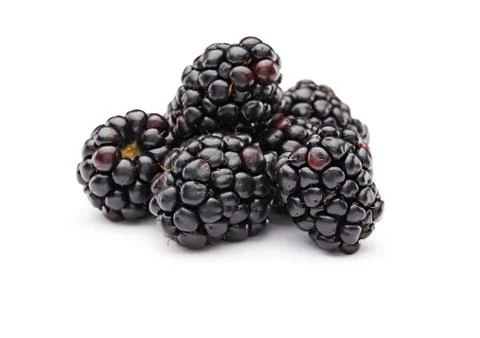 Blackberries Stock Photos