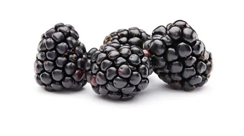 Blackberries Stock Photos