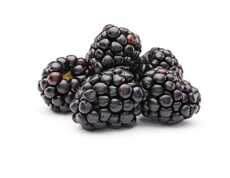Blackberries Stock Photos