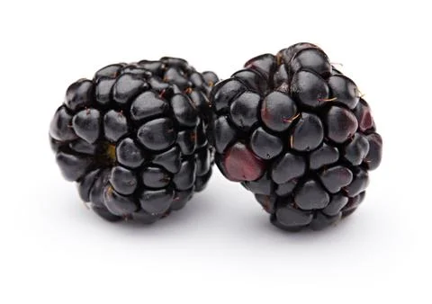 Blackberries Foto stock