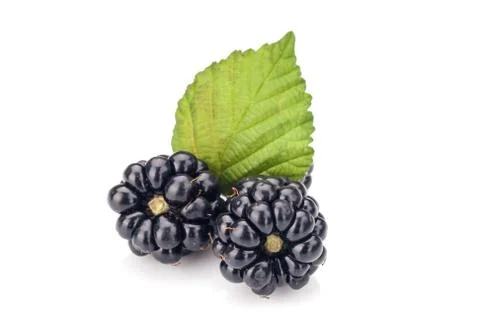 Blackberries Foto stock