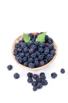 Blackberries 스톡 사진