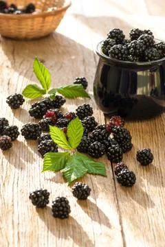 Blackberries Stock-Fotos