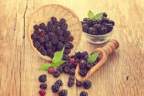 Blackberries Stock-Fotos