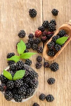 Blackberries Foto stock
