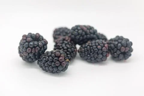Blackberries Stock Photos
