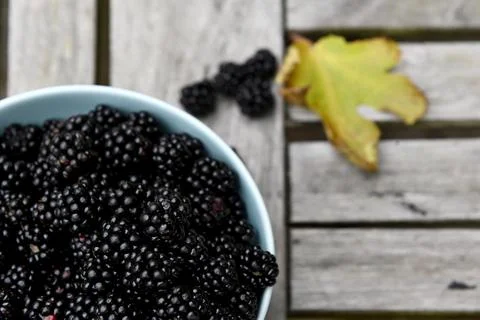 Blackberries Foto stock