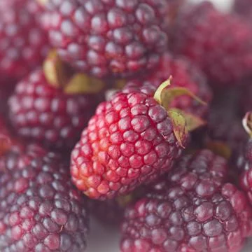 Blackberries on plate Foto stock