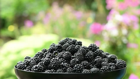 Blackberries on a plate. Side view. Loop motion. Rotation 360. Stock Footage 163803865