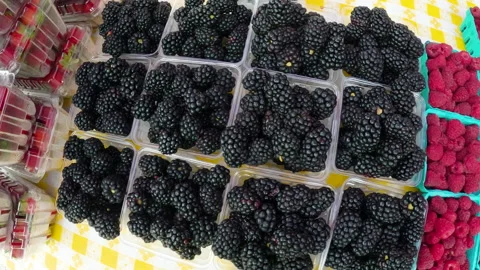 Blackberries raspberries wide angle pan Stock Footage 246493032