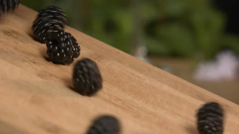 Blackberries Rolling Down A Kitchen Board Stock Footage 226819891