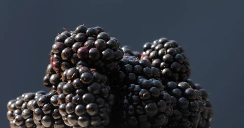 Blackberries Rotating on Black in Close Up Vídeo Stock 135627288