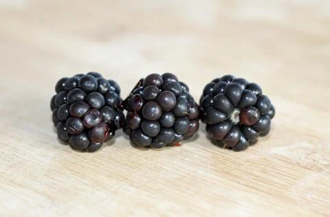 Blackberries in a row Stock Photos