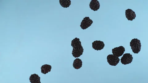 Blackberries in slow motion, shot with Phantom Flex 4K at 1000 frames per second Stock Footage 66776782