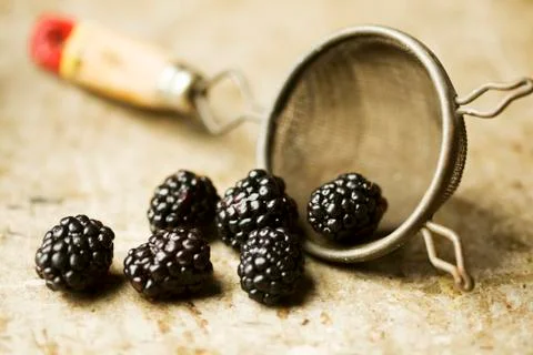 Blackberries Spilling from a Colander Stock Photos
