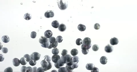 Blackberries splash water Stock Footage 42713001