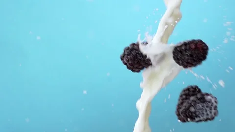 Blackberries Splashing into Milk 스톡 동영상 108307971