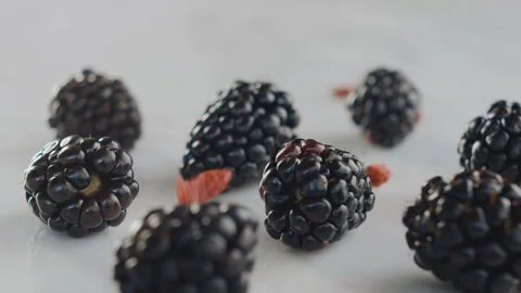 On blackberries sprinkle dried apricots on top in slow motion 120 Stock Footage 101679945