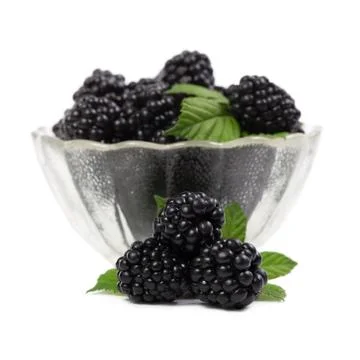 Blackberries on white background Stock Photos
