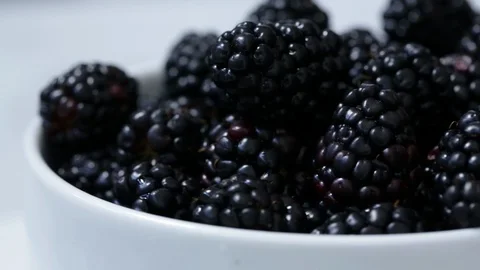 Blackberries in a White Bowl Stock Footage 103063016