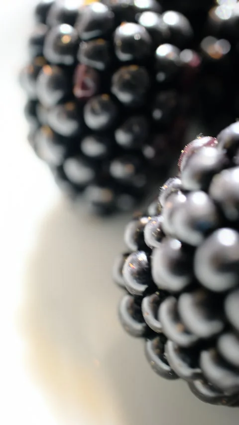 Blackberries on white plate 動画素材 278609191