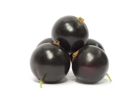 Blackberry and raspberry Stock Photos