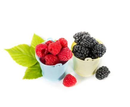 Blackberry and raspberry Stock Photos