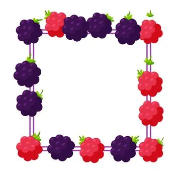 Blackberry and raspberry square frame. Border made of berries. Vector Stock Illustration