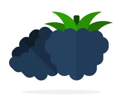 Blackberry berries with leaves vector flat isolated Stock Illustration