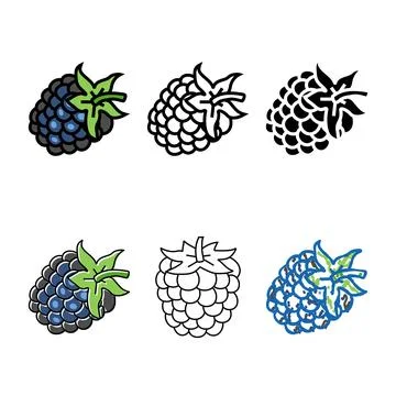 Blackberry berry color icon vector looks Stock Illustration