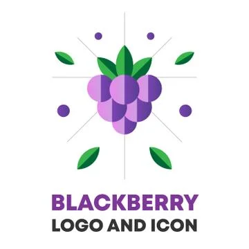 Blackberry, berry vector. Blackberry, berry icon, logo design for brand, food Stock Illustration