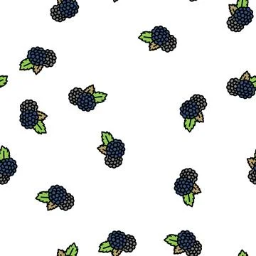 Blackberry berry vector seamless pattern Illustrazione stock