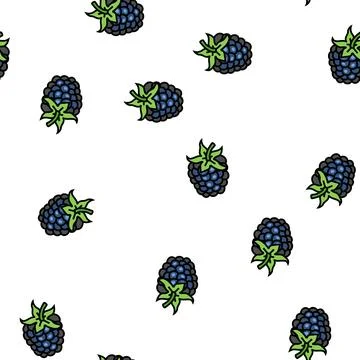 Blackberry berry vector seamless pattern 库存插图