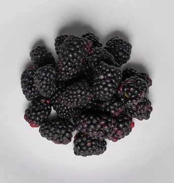 Blackberry bunch macro close-up Stock Photos