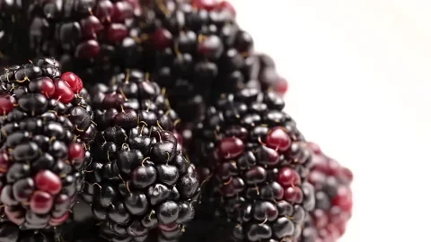 Blackberry close up rotating. top view Stock Footage 188557796