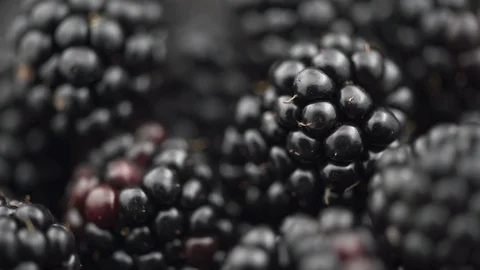Blackberry closeup background. Fresh Ripe organic black berries backdrop slow mo Stock Footage 113224621