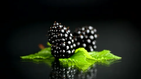 Blackberry composition with glossy reflection on black studio background Stock Footage 344167728