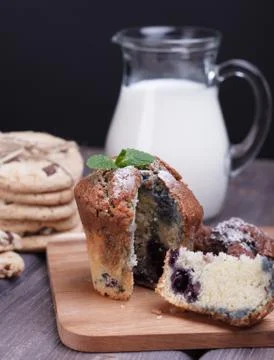 Blackberry cupcake Stock Photos