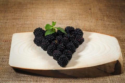 Blackberry elegant view 库存照片