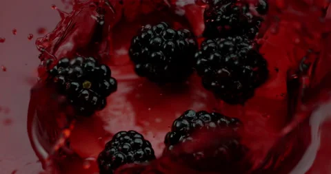 Blackberry falling in Super Slow motion 1000 fps Stock Footage 161801367