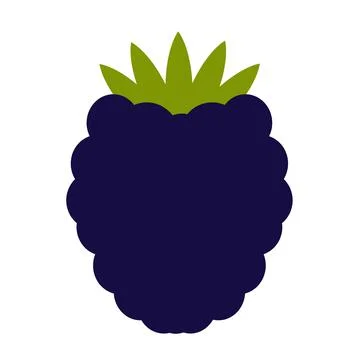 Blackberry flat icon Stock Illustration
