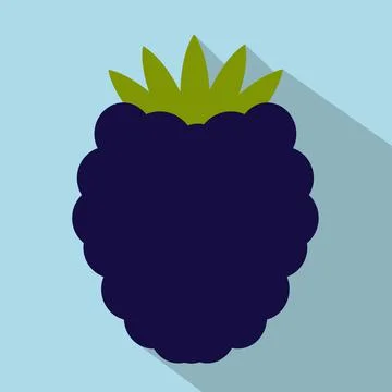 Blackberry flat icon Stock Illustration