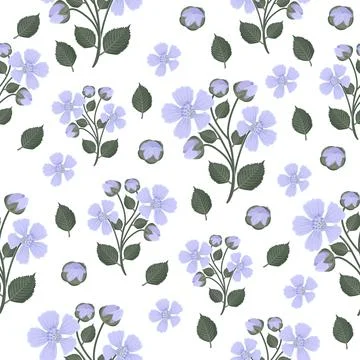 Blackberry flowers, seamless pattern Stock Illustration