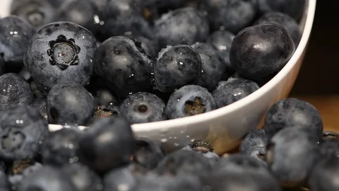 Blackberry Stock Footage 113006912