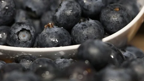Blackberry Stock Footage 113007091